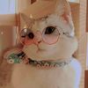 user3771601065471