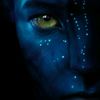 avatar.91888