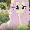 jumana_318j