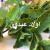 mustapha.louha