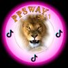 ppsway5411