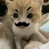 herttama