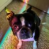 sparkleandbeam