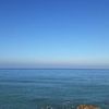 azouz.djellali