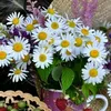 user9619761074507