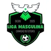 Liga Masculina