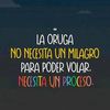 simplementeluzmt