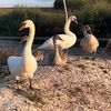paradiseranch_ua
