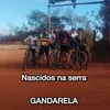 saviogouvea