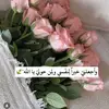 sasaafahfu9