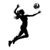 volleyball.holic