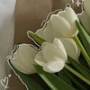 abcd_26262