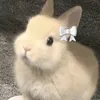 lulu_urs