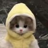 cryinadonut
