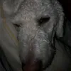 miriamm_7778