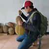 wagiran_krucil