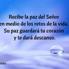 fernando894
