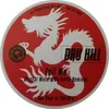 icespiral2005