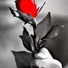 rahul007.com2