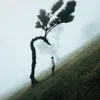 saad.alyasiri6