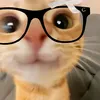aliowxy.allozy