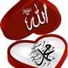 shaziabs1