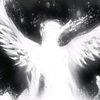 whoisyou_amy