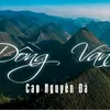 dau.van4