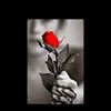 roxanita.13