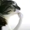 saygex_69_69