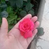 user2817917174321