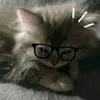 hnimng_