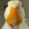 seventeenpeep