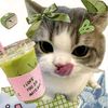 hwots_