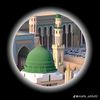 zidii0223