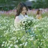 user6868mungmuimayman