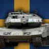 🇸🇪Swedish_Brunette🇸🇪
