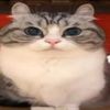 kabanchuk_kaban
