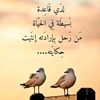 user4235235232530075
