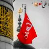 alihaasn8299