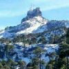 irmasuares54