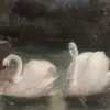 yerrii.aa