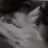 a.nto.qq