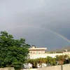 roni_kurdi.366