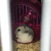 euanaluu5