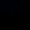 mzz_819