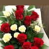 mdsumon506050