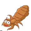 pip19997
