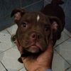 armandoeduardo58