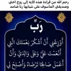 user8029965066159